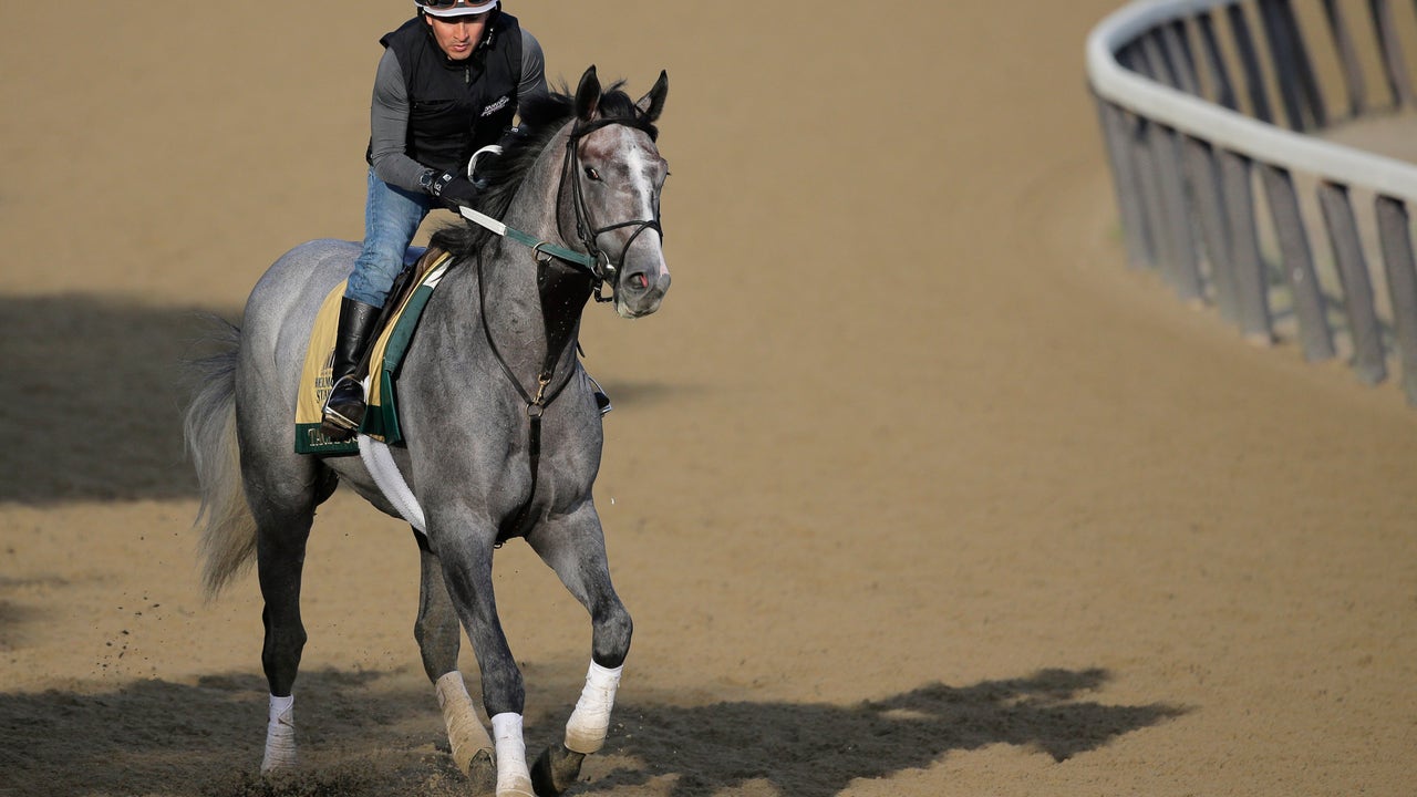 Analysis: Belmont pick is Tacitus, aided by bloodlines